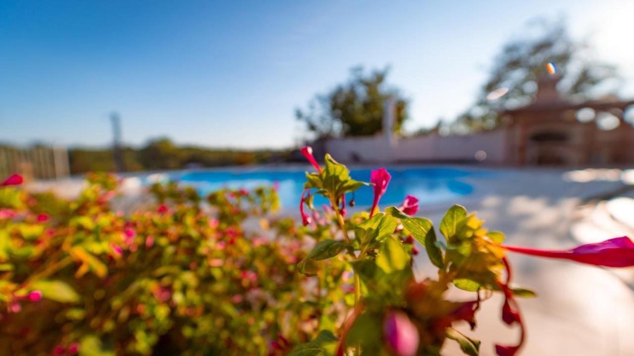 Villa Arton Heated Swimming-Pool Žminj Exteriér fotografie